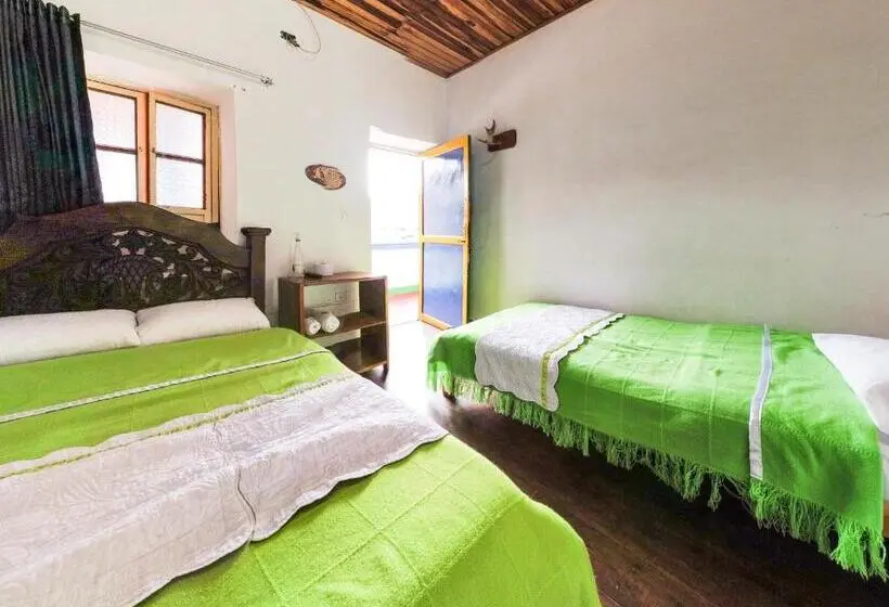 ペンション Hostal El Caminante
