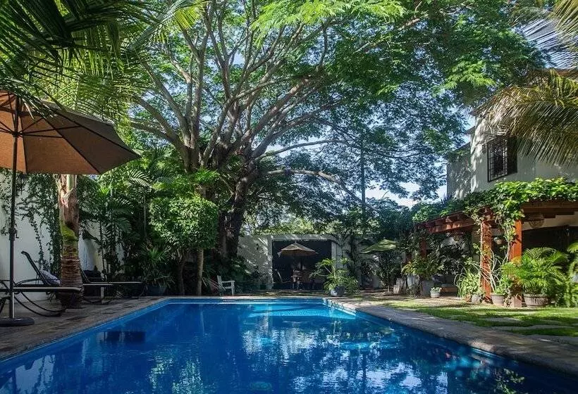 Retkeilymaja Villas Parota Inn