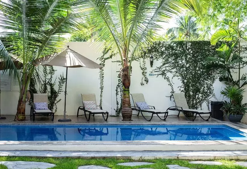 Retkeilymaja Villas Parota Inn