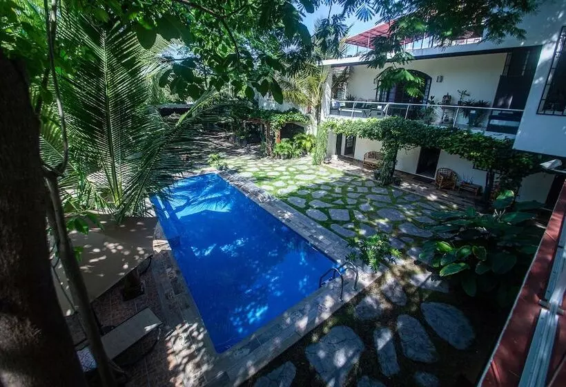 Retkeilymaja Villas Parota Inn