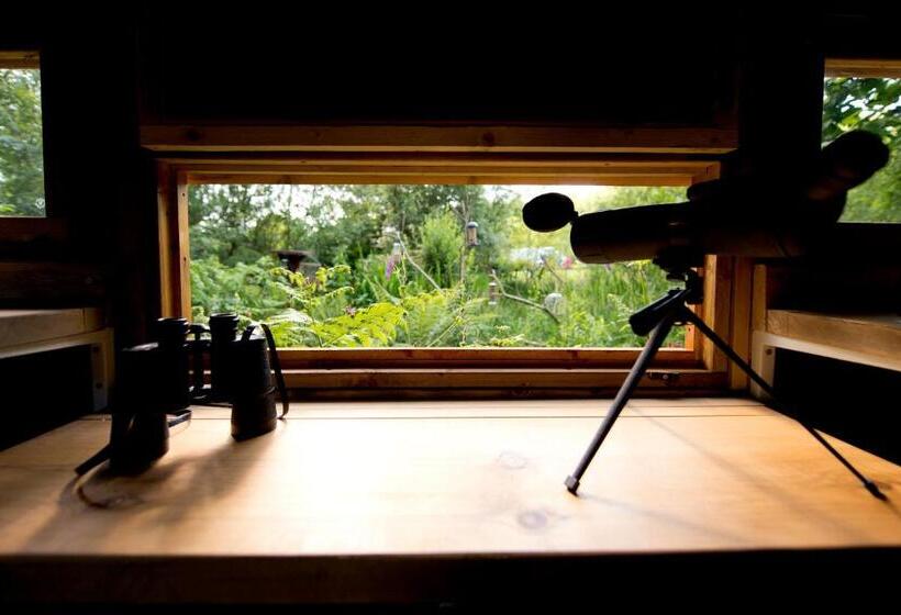 فندق صغير Yha Eskdale