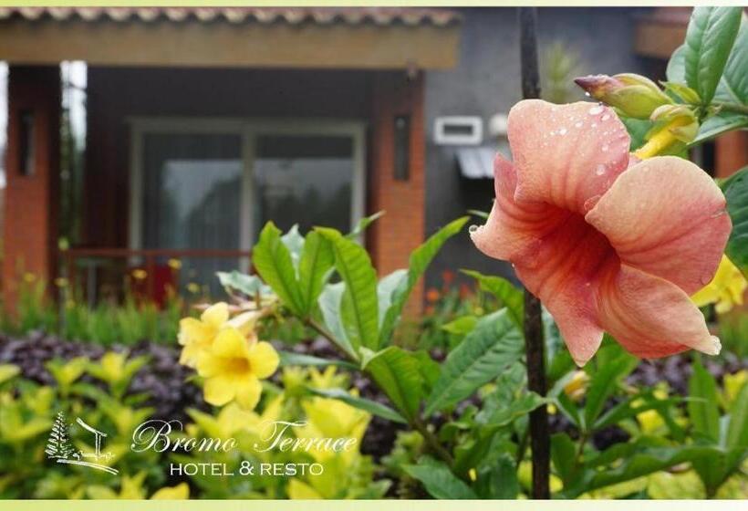 בית מלון כפרי Bromo Terrace