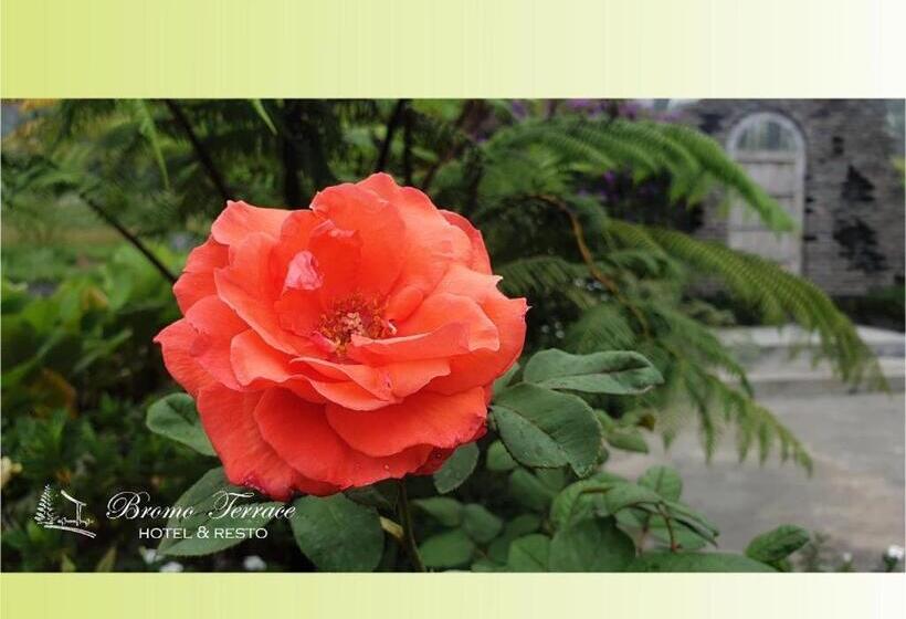 בית מלון כפרי Bromo Terrace