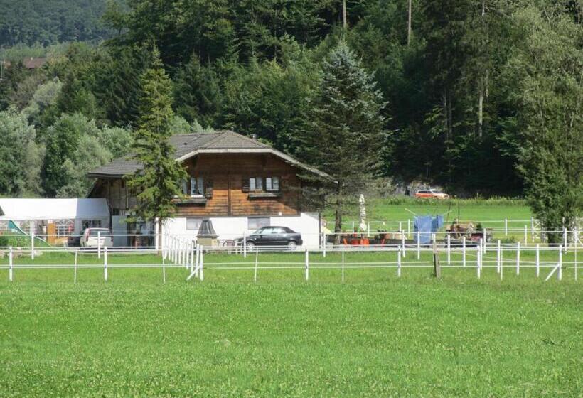 ホテル Eichhof Brienzwiler Berner Oberland