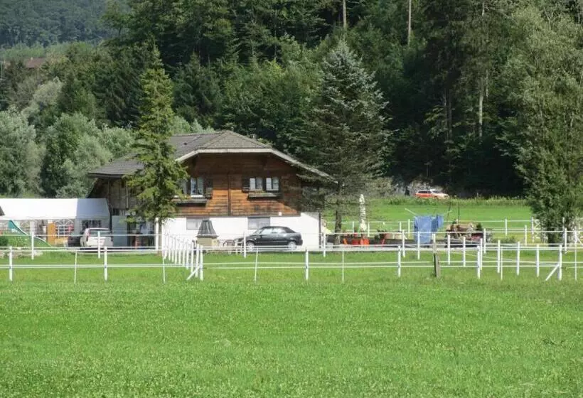 ホテル Eichhof Brienzwiler Berner Oberland