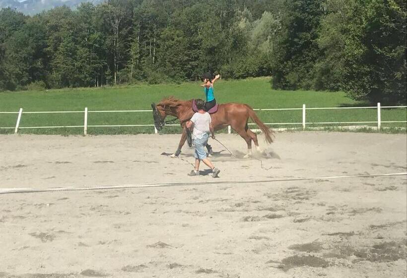 ホテル Eichhof Brienzwiler Berner Oberland