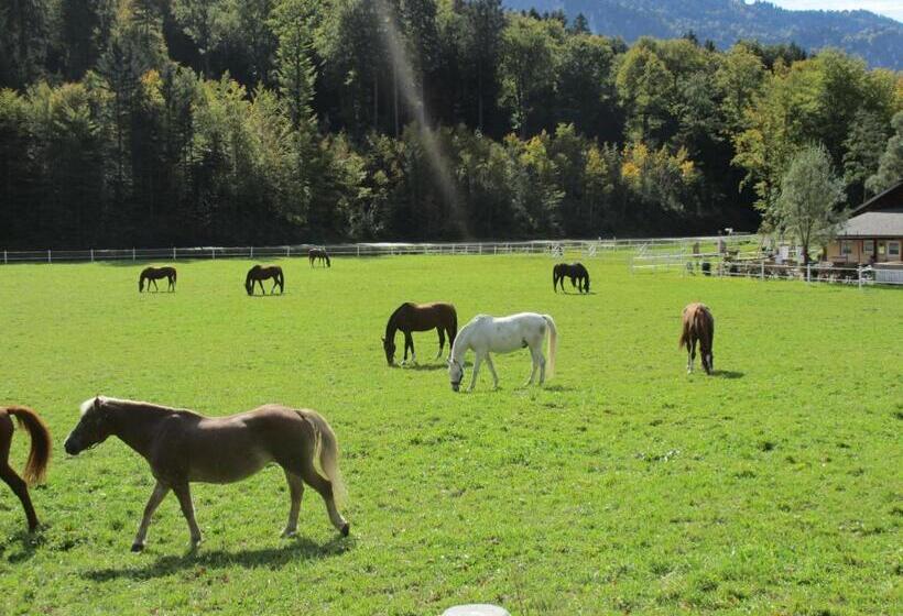 ホテル Eichhof Brienzwiler Berner Oberland