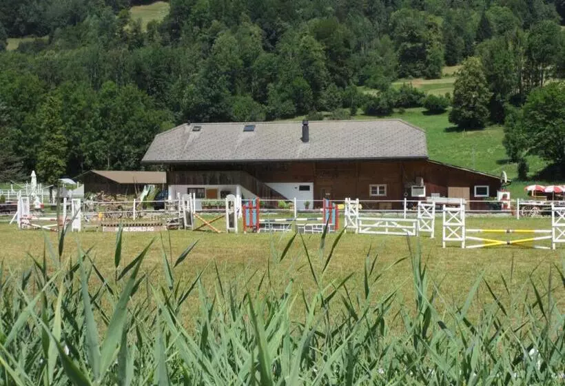 ホテル Eichhof Brienzwiler Berner Oberland