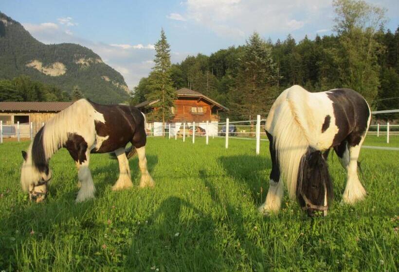 ホテル Eichhof Brienzwiler Berner Oberland