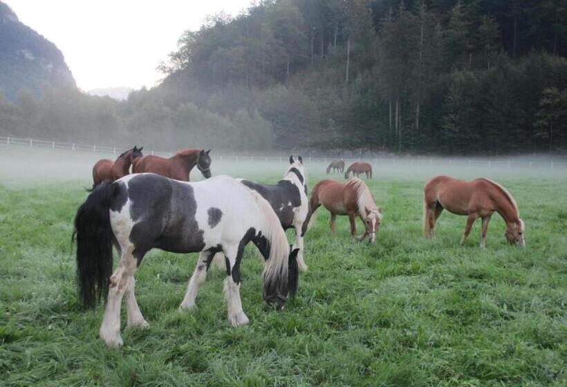 ホテル Eichhof Brienzwiler Berner Oberland