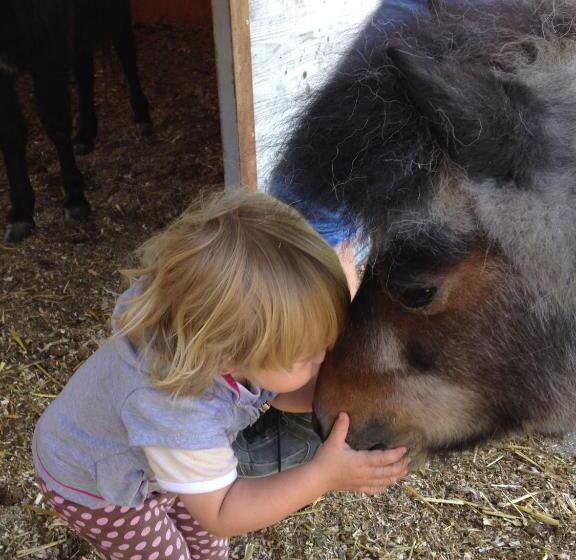 ホテル Eichhof Brienzwiler Berner Oberland