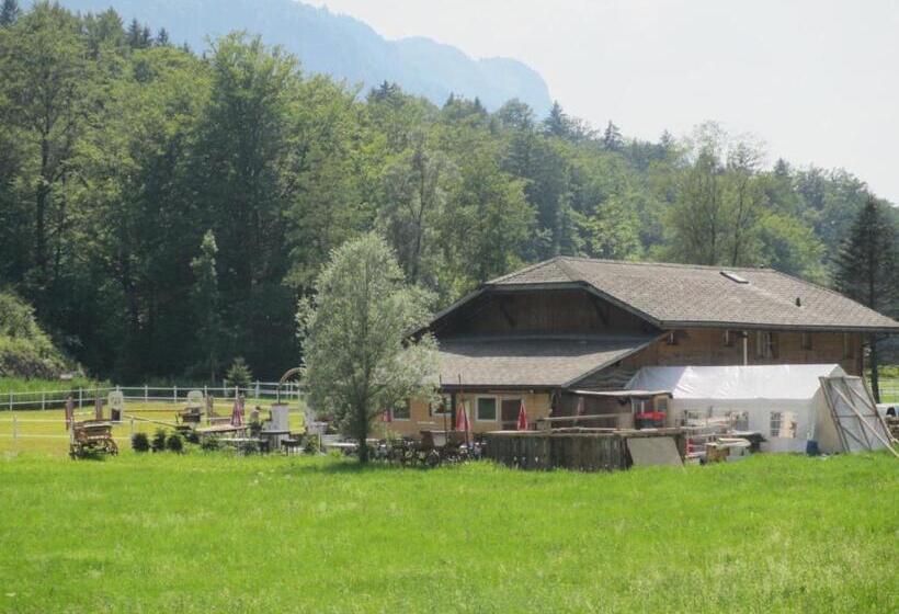 ホテル Eichhof Brienzwiler Berner Oberland