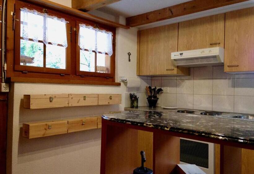 ホテル Eichhof Brienzwiler Berner Oberland