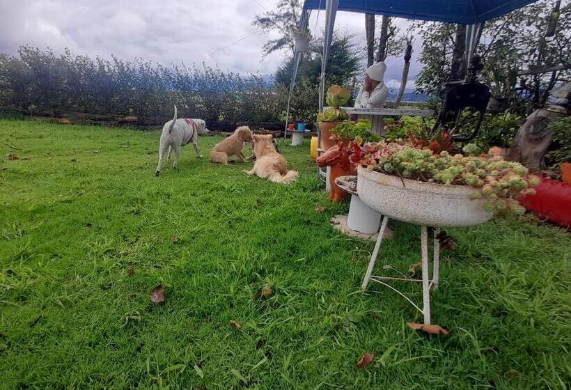 酒店 Hospedaje Maria Valentina