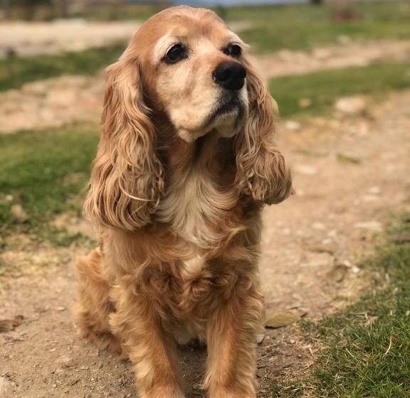 酒店 Hospedaje Maria Valentina