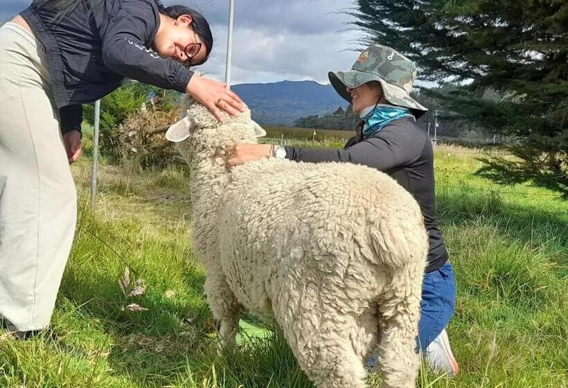 酒店 Hospedaje Maria Valentina