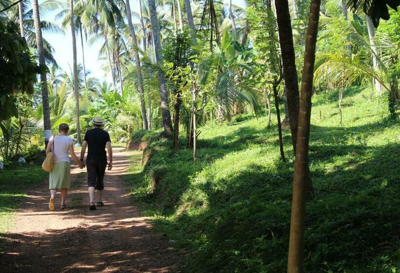 בית מלון כפרי Jim S Farm Villas