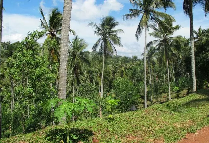 Hotelli Jim S Farm Villas