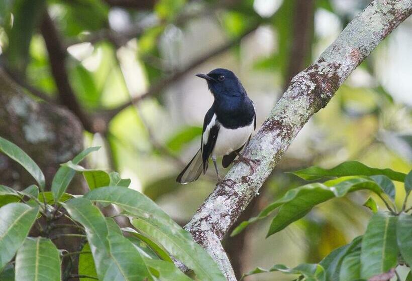 בית מלון כפרי Jim S Farm Villas