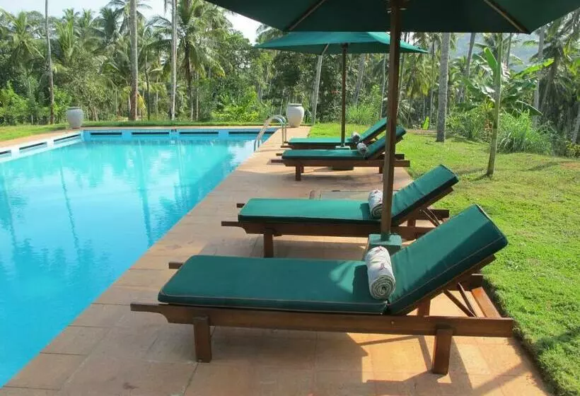 Hotelli Jim S Farm Villas