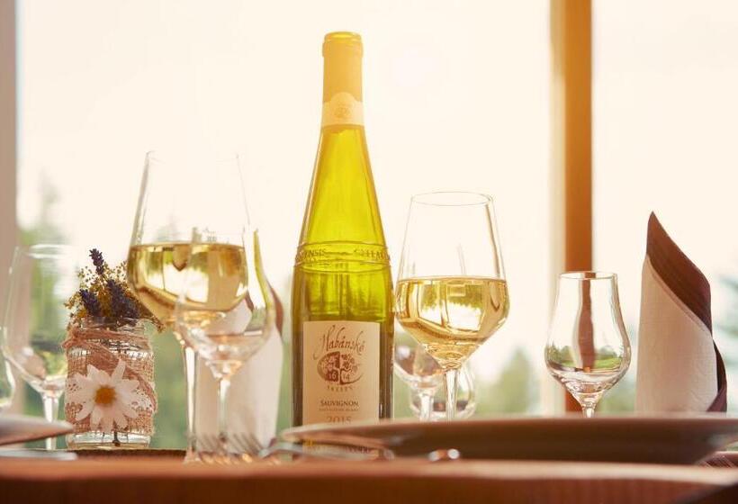 ペンション Penzion Na Kraji Lesa