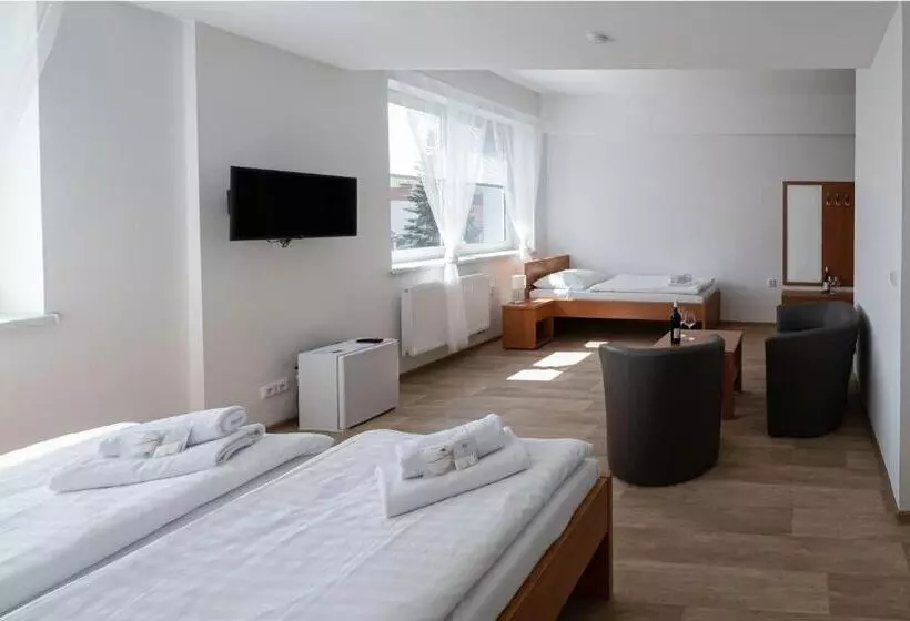 ペンション Penzion Patria Kobyli