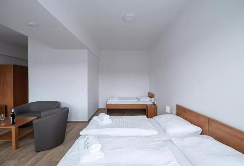 ペンション Penzion Patria Kobyli