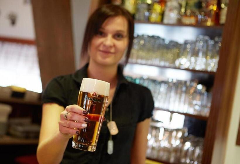 펜션 Penzion Statek Bernard