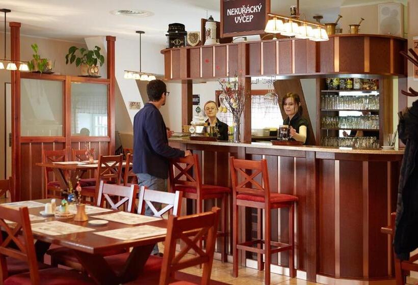 펜션 Penzion Statek Bernard