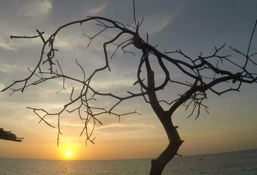 پانسیون Playa Tortuga Cabaña