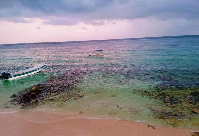 פנסיון Playa Tortuga Cabaña