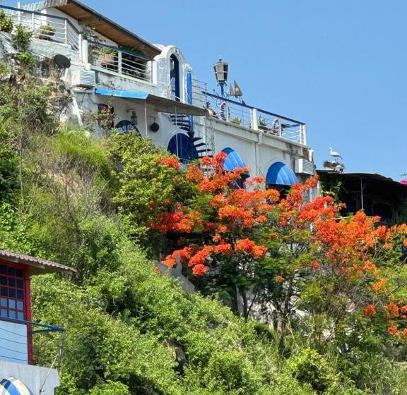 Общежитие Hosteria Farallon Dillon