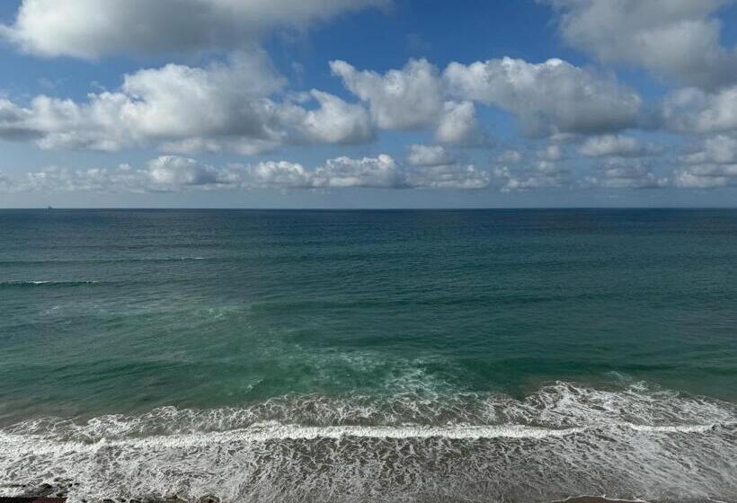 Общежитие Hosteria Farallon Dillon