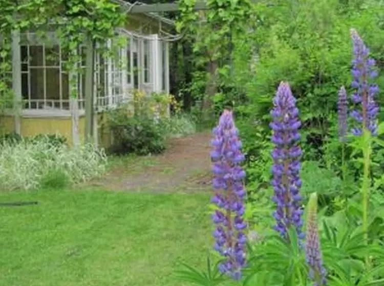 ベッドアンドブレックファースト Heimdallhuset