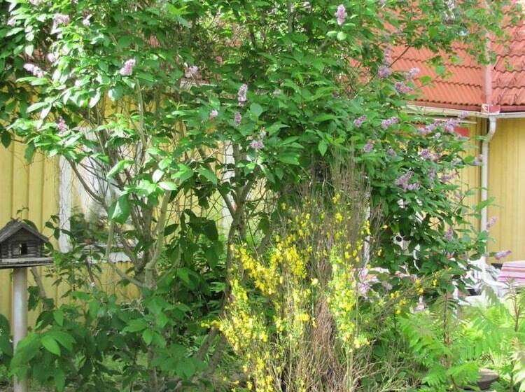 Bed and Breakfast Heimdallhuset