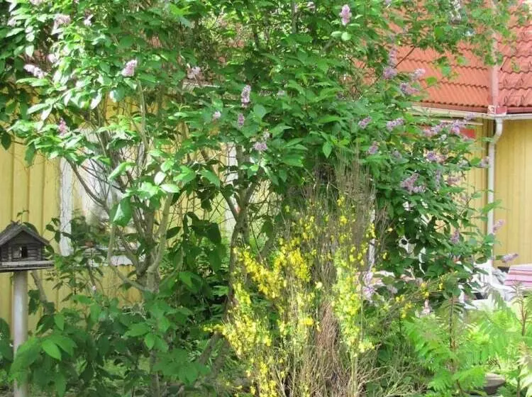 ベッドアンドブレックファースト Heimdallhuset