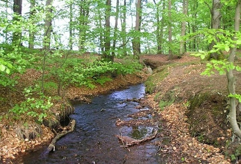 Bed and Breakfast Heimdallhuset