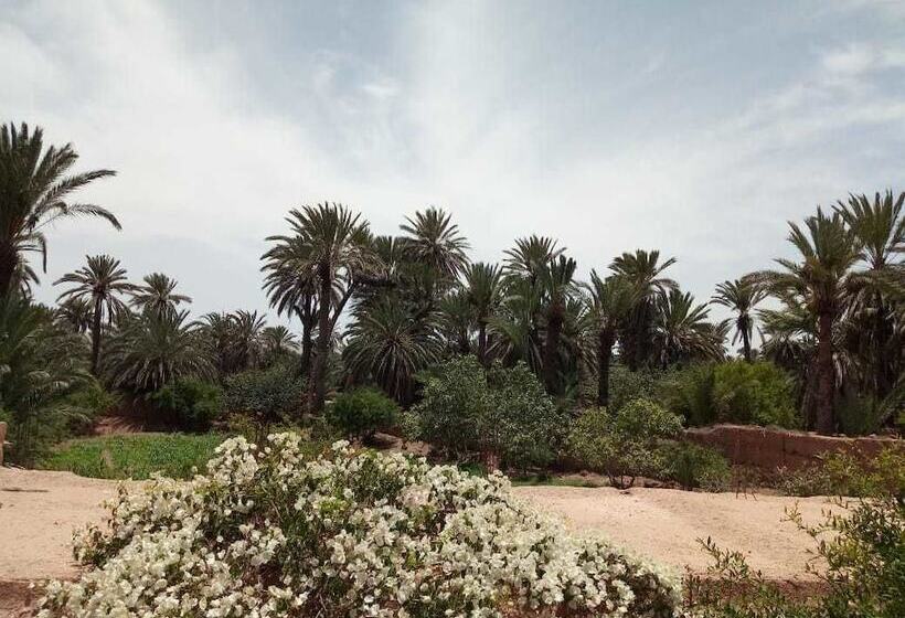 Bed and Breakfast Maison Nomades