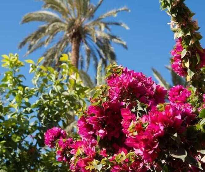 Bed and Breakfast Maison Nomades