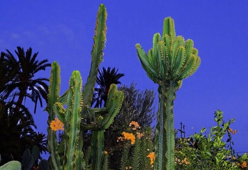 Bed and Breakfast Maison Nomades