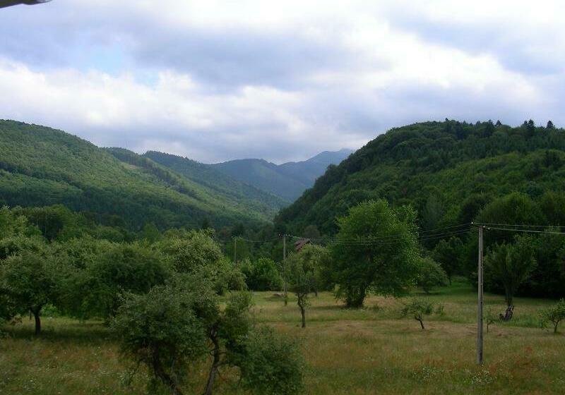 مبيت وإفطار Pensiunea Elena