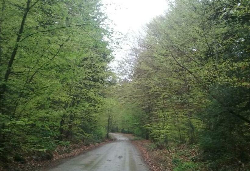 مبيت وإفطار Pensiunea Elena