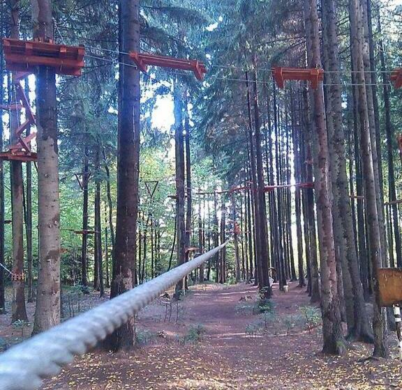 مبيت وإفطار Pensiunea Elena