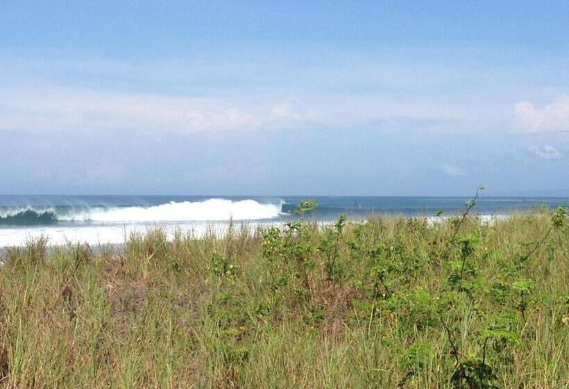 فندق Camino Del Sol