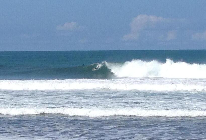 فندق Camino Del Sol