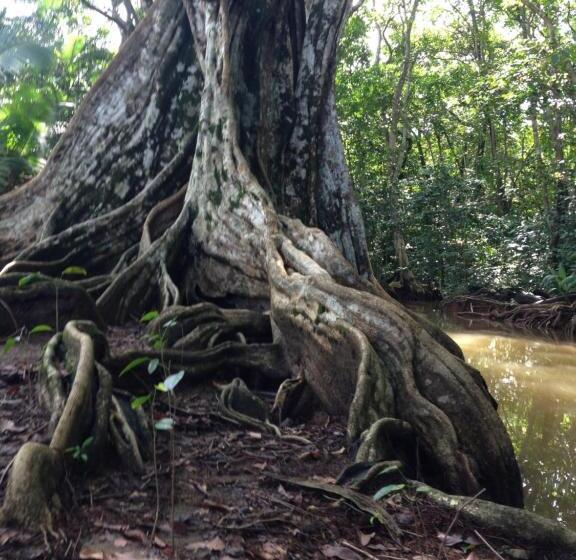 فندق Camino Del Sol