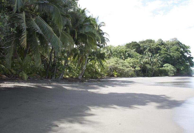 فندق Camino Del Sol