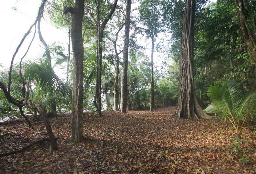 فندق Camino Del Sol