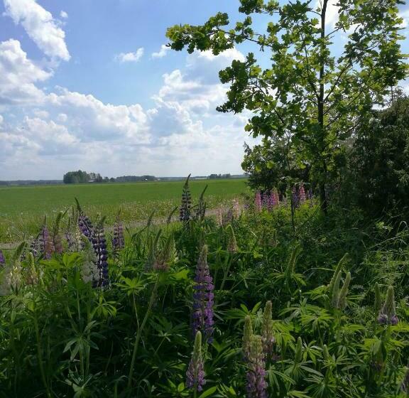בית מלון כפרי Levomäki Farm Cottages