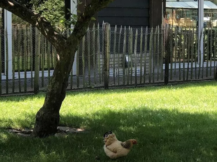 Hotelli Hof Van  S Gravenmoer